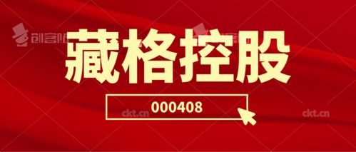 藏格控股二審維持原判 投資者索賠持續(xù)推進(jìn)，日用品貿(mào)易銷售業(yè)務(wù)前景引關(guān)注
